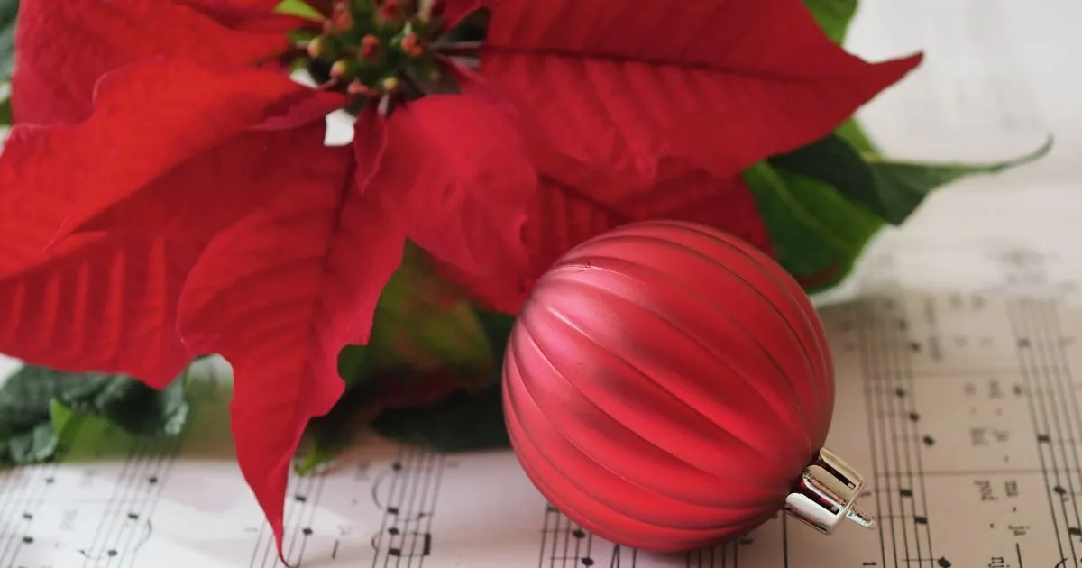 Vánoční hvězda a baňka