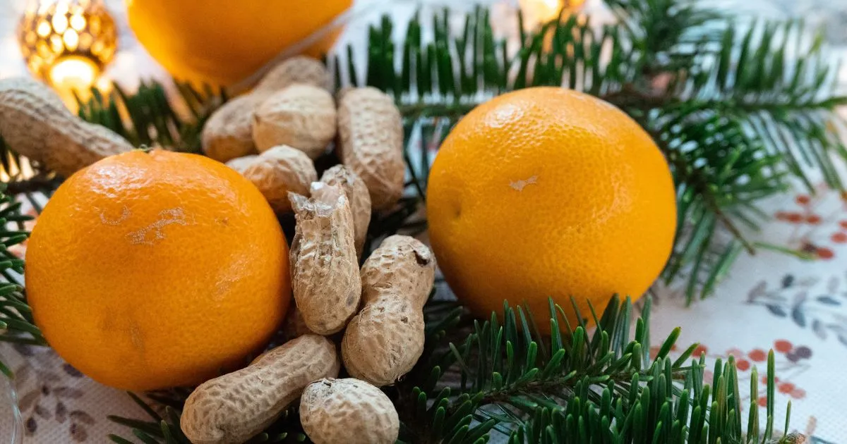 Vánoční zátiší s pomeranči, oříšky a jehličím