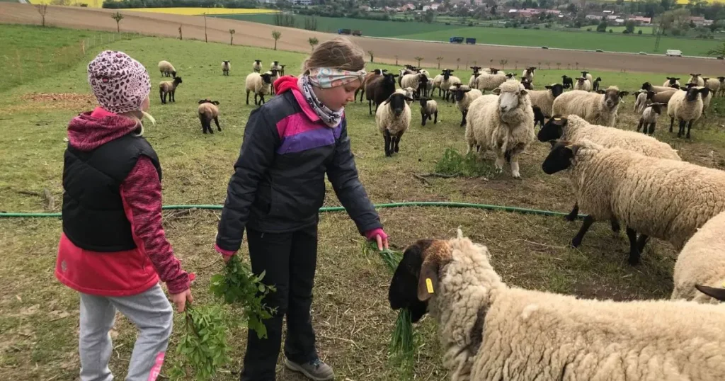 Děti ze ZŠ Prameny se mezi zvířaty učí o životě hospodářských zvířat
